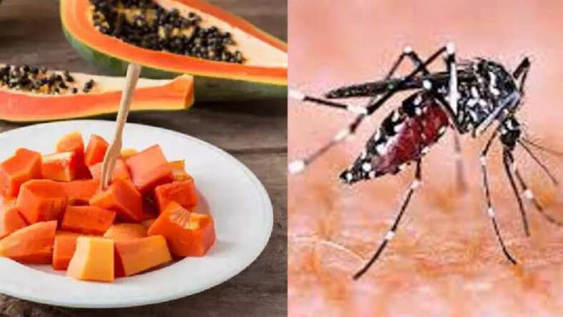 डेंगू लंबे समय तक झेला सकता है