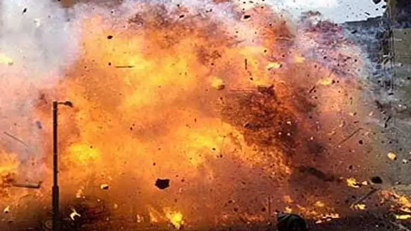 पटाखा फैक्ट्री में जोरदार विस्फोट,5 लोगों की मौत