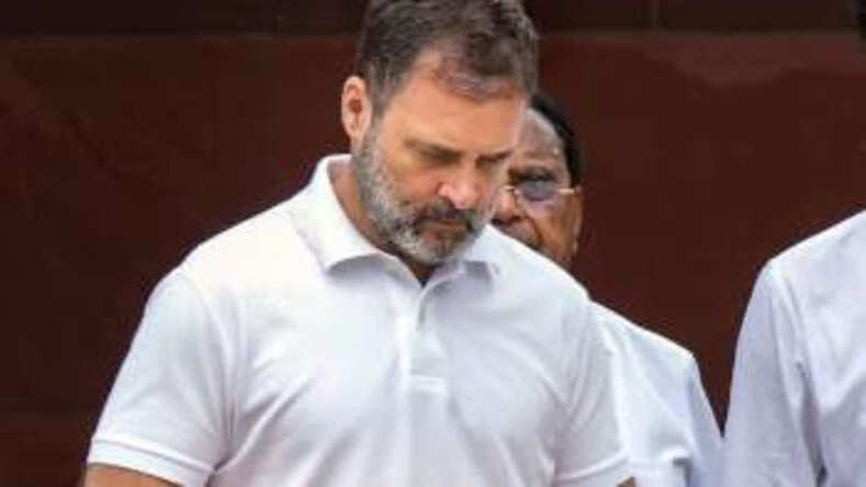 कांग्रेस नेता राहुल गांधी आज 3 बजे करेंगे प्रेस कॉन्फ्रेंस, पीएम नरेंद्र मोदी के सवालों का दे सकते हैं जवाब