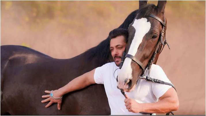 Salman Khan खान ने घोड़े के साथ शेयर की प्यारी सी तस्वीर