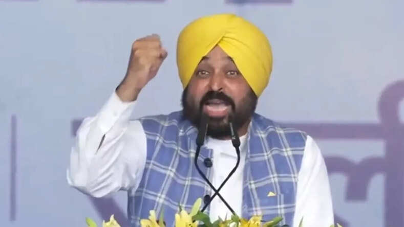 पंजाब के सीएम भगवंत मान बीजेपी पर बरसे बोले- ये देश को बांटना चाहते हैं
