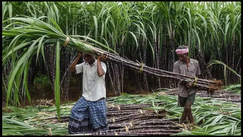 कवर्धा : उपमुख्यमंत्री विजय शर्मा के प्रयासो से होली के पूर्व गन्ना किसानों को मिली बड़ी सौगात