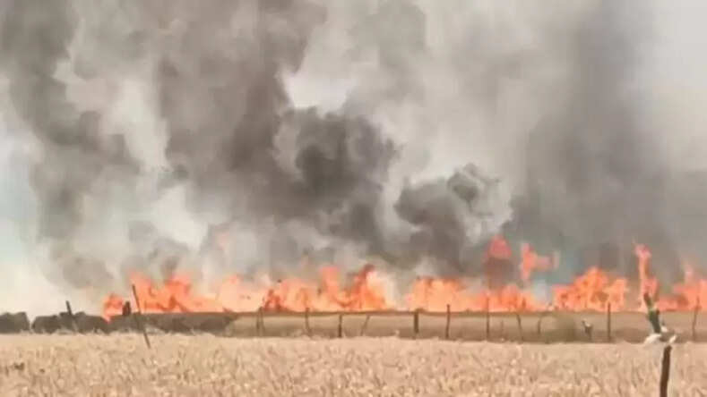 Kanpur News: गेंहू की फसल में बिजली के तार टूटने से लगी आग, लोगों ने फायर बिग्रेड को दी सूचना