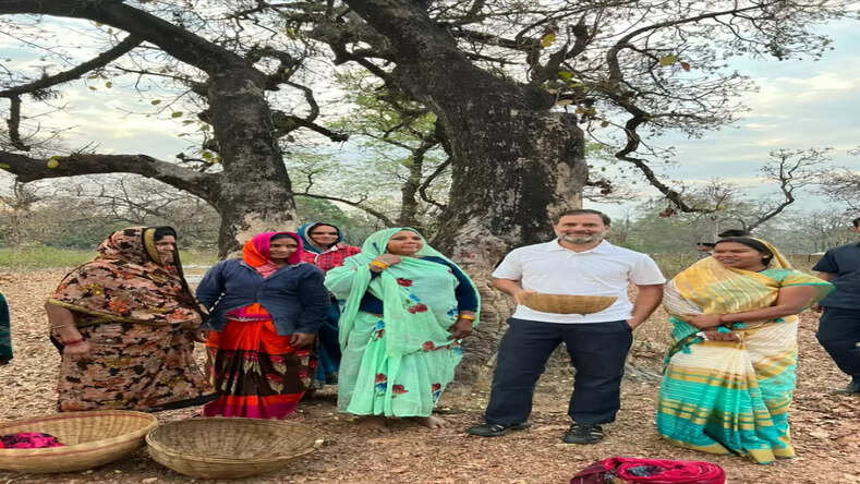राहुल गांधी ने उमरिया में बीना महुआ लिया महुए का टेस्ट हुए रवाना, शिवराज के तंज का जीतू पटवारी ने दिया करारा जवाब
