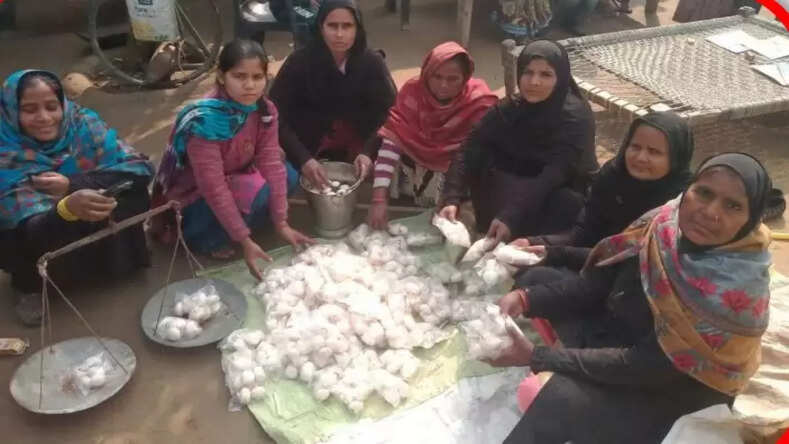 UP News: बांस की झोपड़ी से 50 हज़ार महीना, नेहा की मशरूम क्रांति