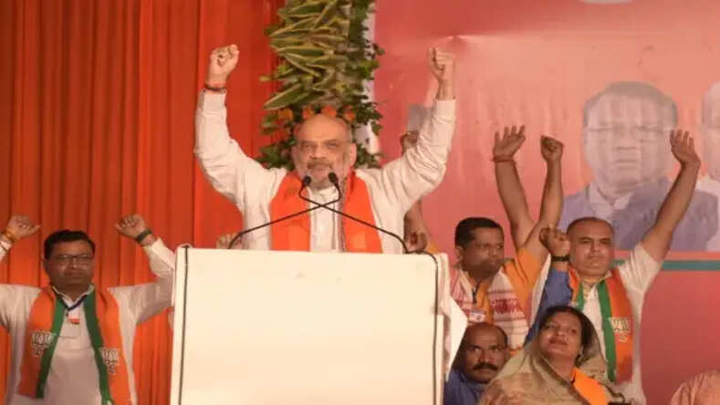 MP Election 2023: कमलनाथ मध्यप्रदेश के मुख्यमंत्री बने तो लाड़ली बहना और किसान सम्मान निधि जैसी योजनाएं हो जाएंगी बंद: अमित शाह