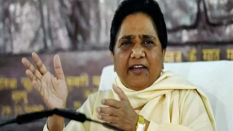 बसपा की राष्ट्रीय अध्यक्ष मायावती ने 'आप' पर बोला हमला, कहा-अगली सरकार हमारी होगी