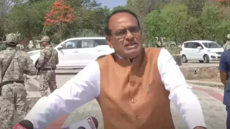 MP News: CM शिवराज का ऐलान कहा- ओलावृष्टि से हुए नुकसान का सर्वे जारी, किसानों को जल्द मिलेगी राहत राशि