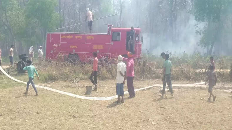 Gonda News: सुंदर घाट जंगल में लगी भीषड़ आग, बेशकीमती पेड़‌ जलकर राख