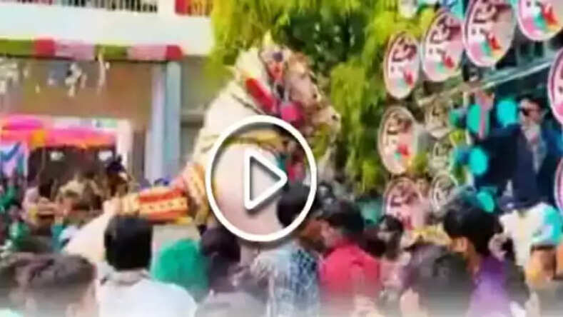  बारात में DJ की आवाज सुन बेकाबू हुआ घोड़ा, कई बारातियों को रौंदा, वीडियो वायरल