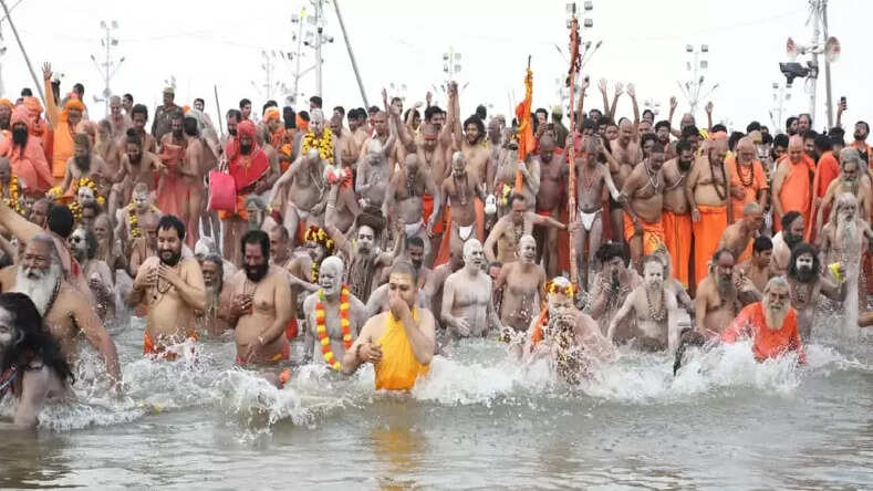 Mauni Amavasya