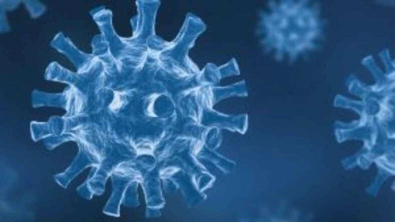 Coronavirus Cases Update: देश में पिछले 24 घंटों में अचानक बढ़ा कोरोना से मौत का आंकड़ा, 4100 लोगों की गई जान- 1660 लोग हुए संक्रमित