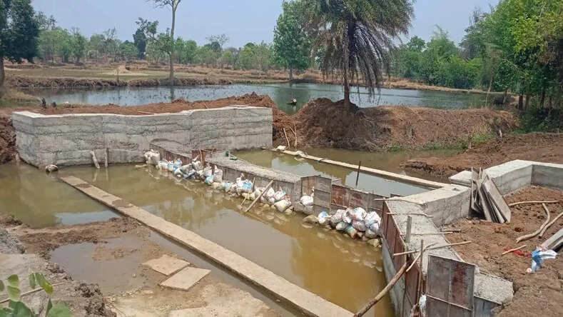CG News : जल संकटग्रस्त ग्रामों में मिशन जलरक्षा अंतर्गत जल संरक्षण के प्रयासों का दिख रहा कारगर असर