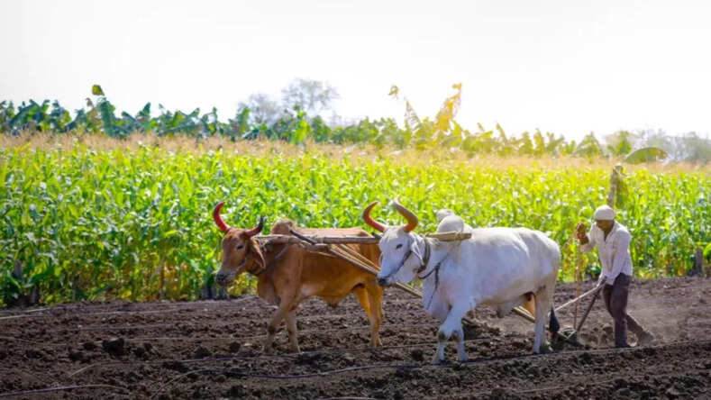 PM Kisan Samman Nidhi: किसान सम्मान निधि योजना में किसानों को बड़ा तोहफा देने के मूड में मोदी सरकार