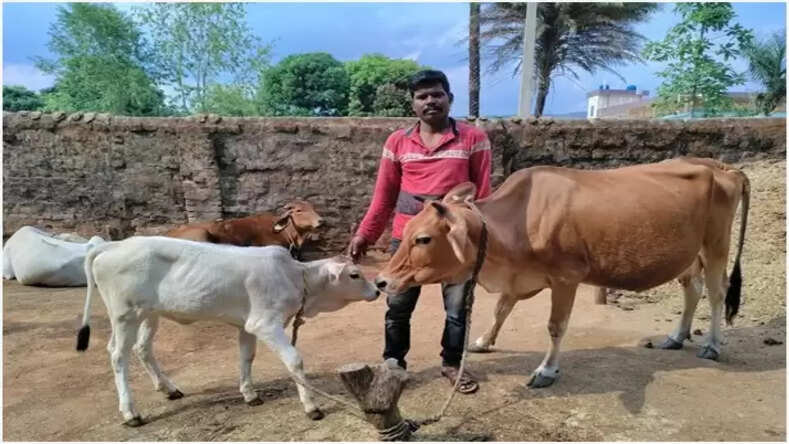 CG News: डेयरी उद्यमिता विकास योजना से सुखसागर की जिंदगी में आया बदलाव
