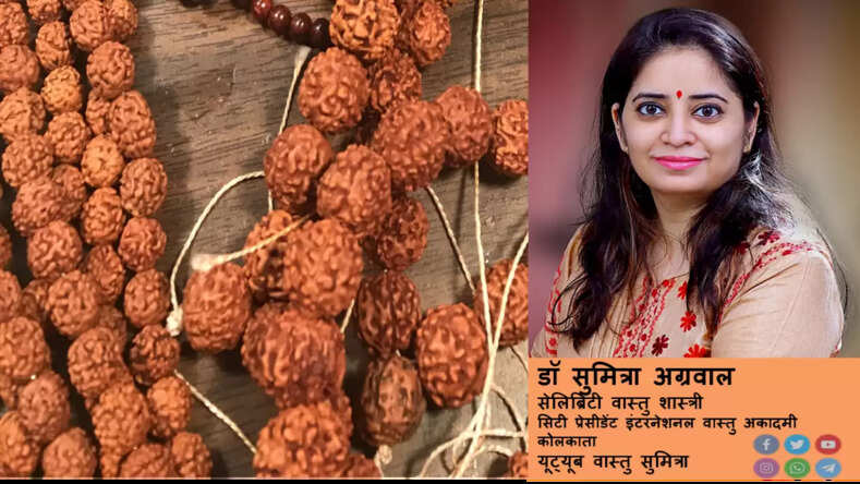 रूद्राक्ष क्या शिव का रूप है जानते है वास्तु शास्त्री डॉ सुमित्रा जी से