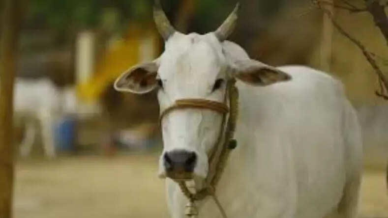 गौ विज्ञान परीक्षा में शामिल होने के लिए 15 अक्टूबर तक पंजीयन