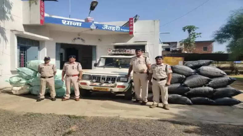 मध्यप्रदेश: तस्करों के खिलाफ रदेश एक्शन मोड में पुलिस, 55 लाख से अधिक का गांजा जब्त