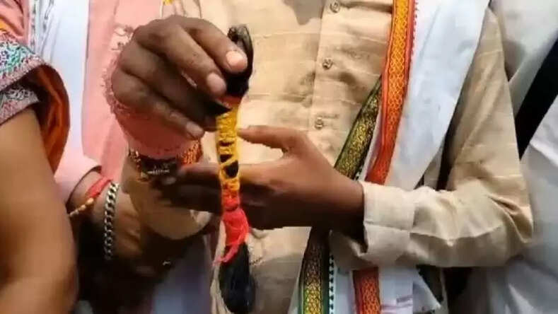 कटी हुई चोटी लेकर जिला कलेक्ट्रेट पहुंचा पीड़ित, अनोखी घटना आई सामने
