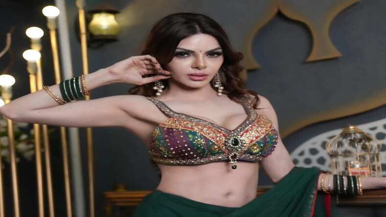  Bollywood actress, Sherlyn Chopra