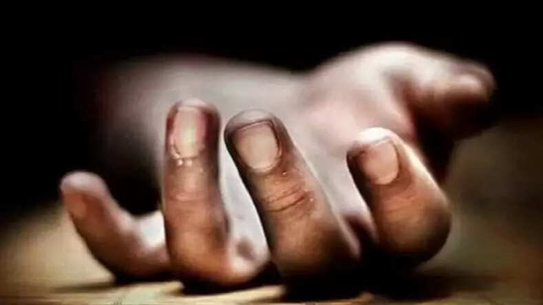 दर्दनाक हादसा: ट्रक व ट्रेलर के बीच पिसी कार, आपस में टकराईं 6 गाड़ियां, 3 ने मौके पर ही तोड़ा दम