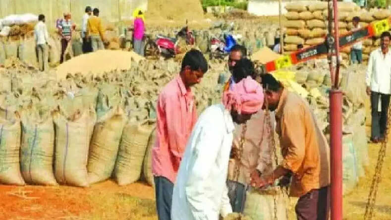 छत्तीसगढ़ में इस दिन से होगी शुरू धान खरीदी, मंत्री टंकराम वर्मा