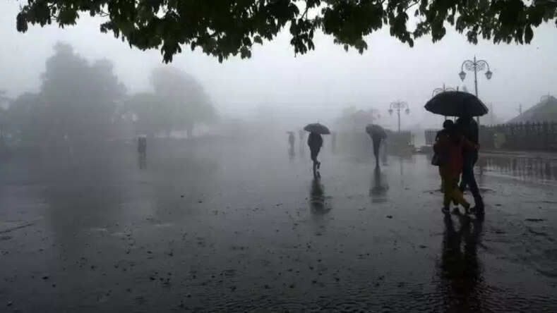 Rajnandgaon: जिले में अब तक औसत 1073.9 मिमी वर्षा दर्ज