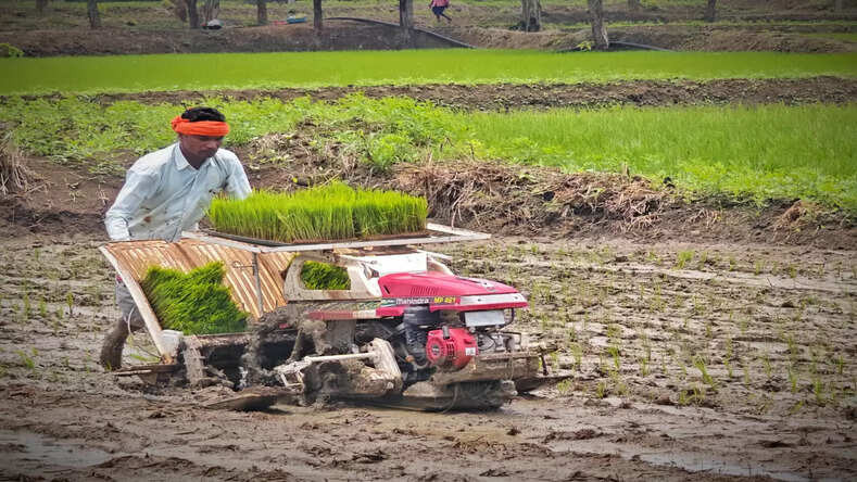 CG News: आधुनिकतम पैडी ट्रांसप्लांटर मशीन से रोपाई कर बचा रहे अपना धन व समय