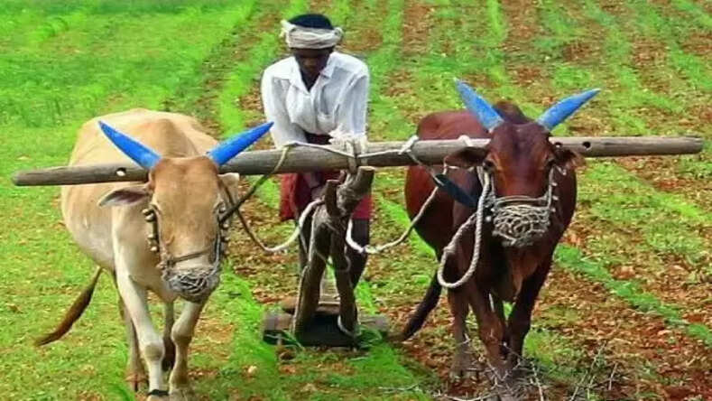  किसान