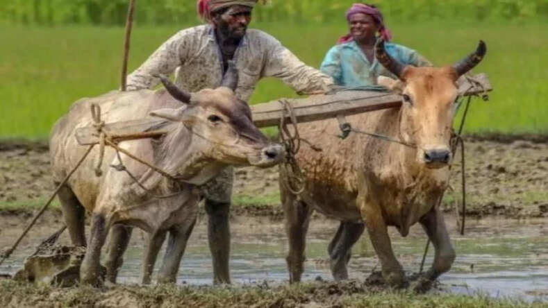 Pm Kisan Samman Nidhi: इसी हफ्ते आ सकती है सम्मान निधि की 13वीं किस्त