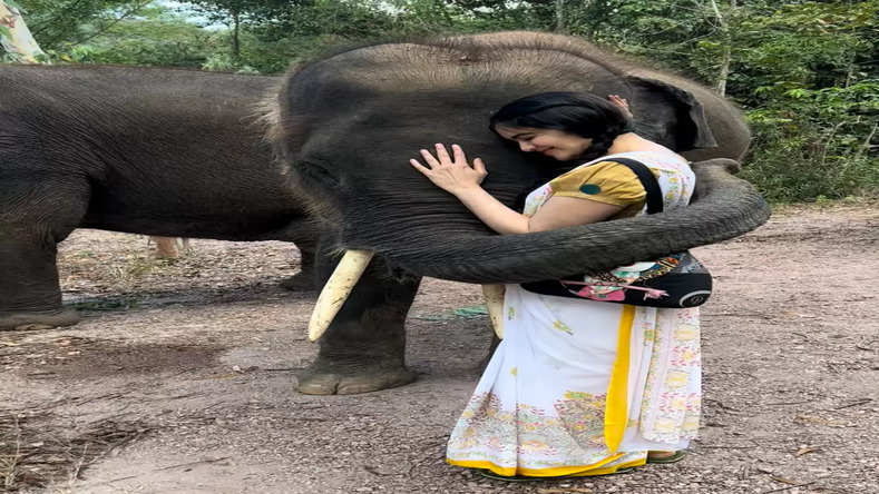 हाथियों पर पानी डालकर मस्ती करती दिखी अदा शर्मा, वीडियो वायरल