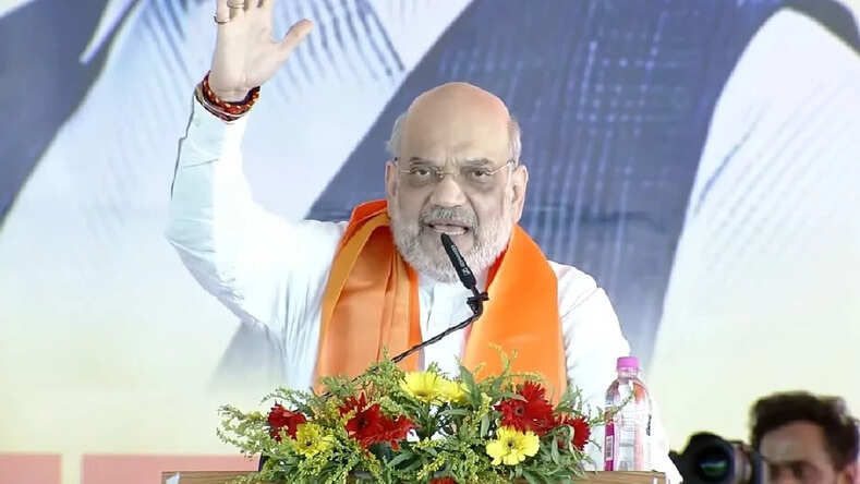 आंध्र प्रदेश और तेलंगाना में आज चुनावी रैलियों को करेंगे संबोधित: केंद्रीय गृह मंत्री अमित शाह