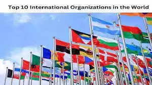 अंतर्राष्ट्रीय एजेंसियों के साथ कार्य करने के अवसर आपके कैरियर में नए आयाम स्थापित
