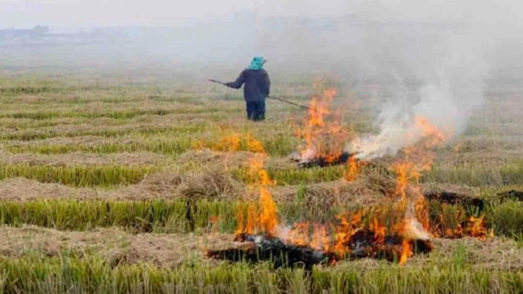 यूपी में पराली जलाने वाले को नहीं मिलेगा 'प्रधानमंत्री किसान सम्मान निधि’ का लाभ, 9 किसानों पर गिरी गाज