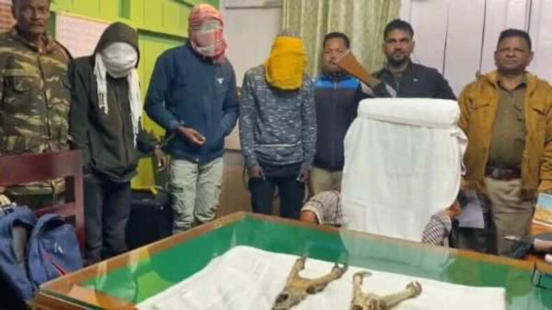 Jalpaiguri News: आमबाड़ी रेंज के वनकर्मियों ने हिरण की खोपड़ी के साथ 3 को किया गिरफ्तार