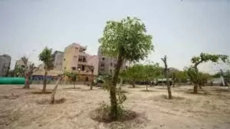 दिल्ली बना ट्री ट्रांसप्लांटेशन पॉलिसी लागू करने वाला देश का पहला राज्य
