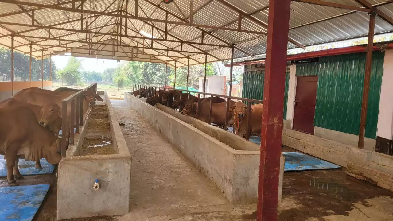 नंदिनी कृषक समृद्धि योजना 2