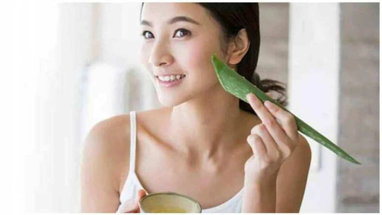 Skin Care Tips: गर्मियों में त्वचा संबंधित समस्याओं से छुटकारा पाने के लिए इस तरह करें Aloe Vera Gel का इस्तेमाल